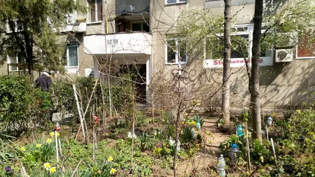 AMENZI pentru locatarii care vor să grădinărească! Ce pățesc românii care vor să își planteze zambile în grădina blocului, fără autorizația Primăriei