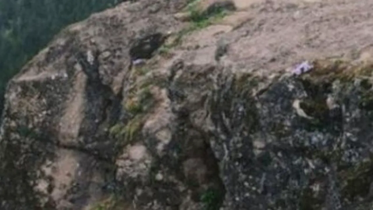 FOTO: Cel mai intim moment dintr-un cuplu, surprins de un fotograf pe un vârf de munte