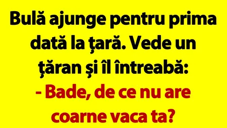 BANC | Bulă, pentru prima dată la țară