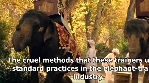 Ironia filmului: HBO, criticat după ce a folosit elefanți reali într-un serial despre roboți