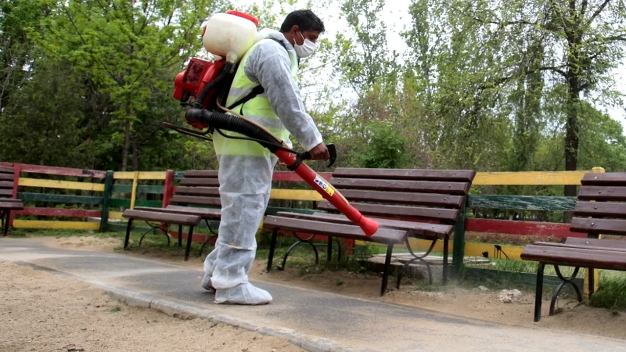 DSP Sibiu: 16 cazuri de boală Lyme, confirmate de la începutul anului la persoane înțepate de căpușe