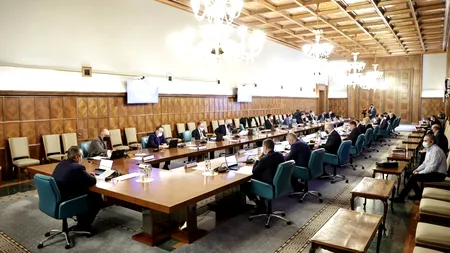 UPDATE | Guvernul a reintrodus șomajul tehnic. Declarațiile ministrului Muncii - DOCUMENT