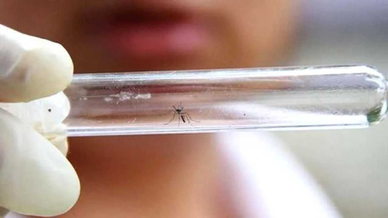 Un prim caz de infectare cu virusul Zika, depistat în Chile