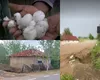 Grindina a făcut ravagii în România. Mai multe mașini și case au fost distruse, iar terenurile agricole și străzile s-au inundat