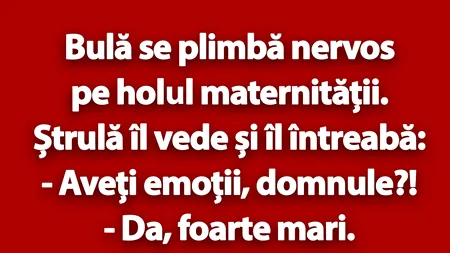 BANC | Bulă se plimbă nervos pe holul maternității