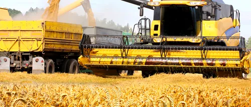 Exporturile de grâu al UE sunt în creștere, iar România este lider 