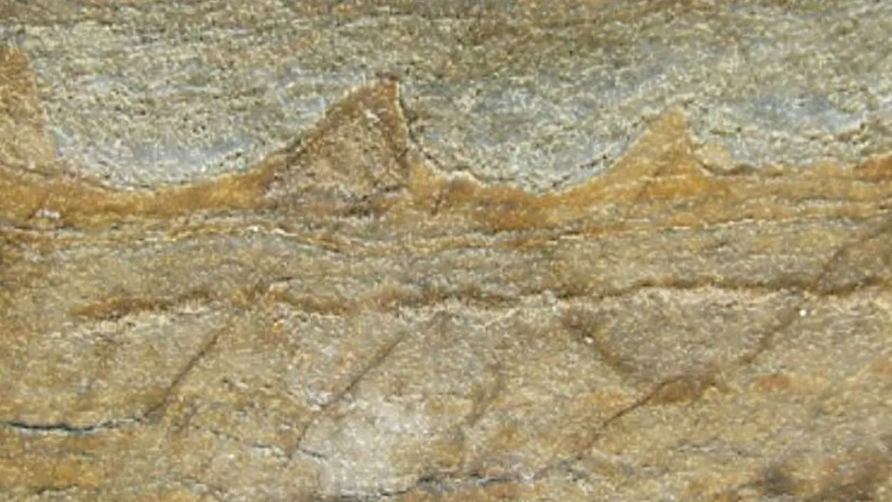 Cea mai veche fosilă de pe Pământ a fost descoperită. Conține primele dovezi ale vieții de pe Terra