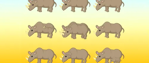 Test de inteligență pentru GENII | Câți rinoceri sunt, de fapt, în această poză?