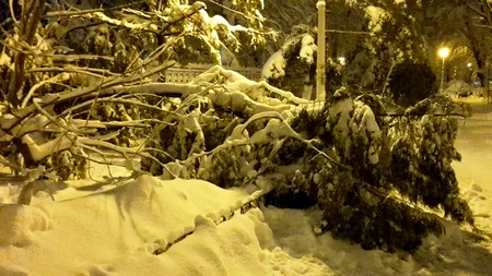 VREMEA în București: GER în următoarele trei zile