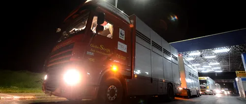 Coloană de camioane de 7 kilometri la Nădlac; autoritățile ungare verifică atent fiecare transport