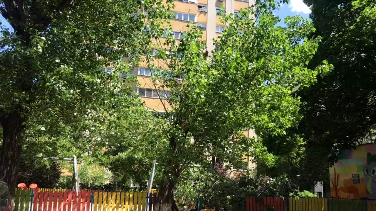 VIJELIE ÎN CAPITALĂ. Femeie rănită de un copac doborât de vânt, în sectorul 4