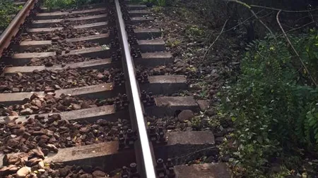 Trenuri blocate în Harghita din cauza unui brad PRĂBUȘIT pe șine. Județul este sub cod galben de ninsori