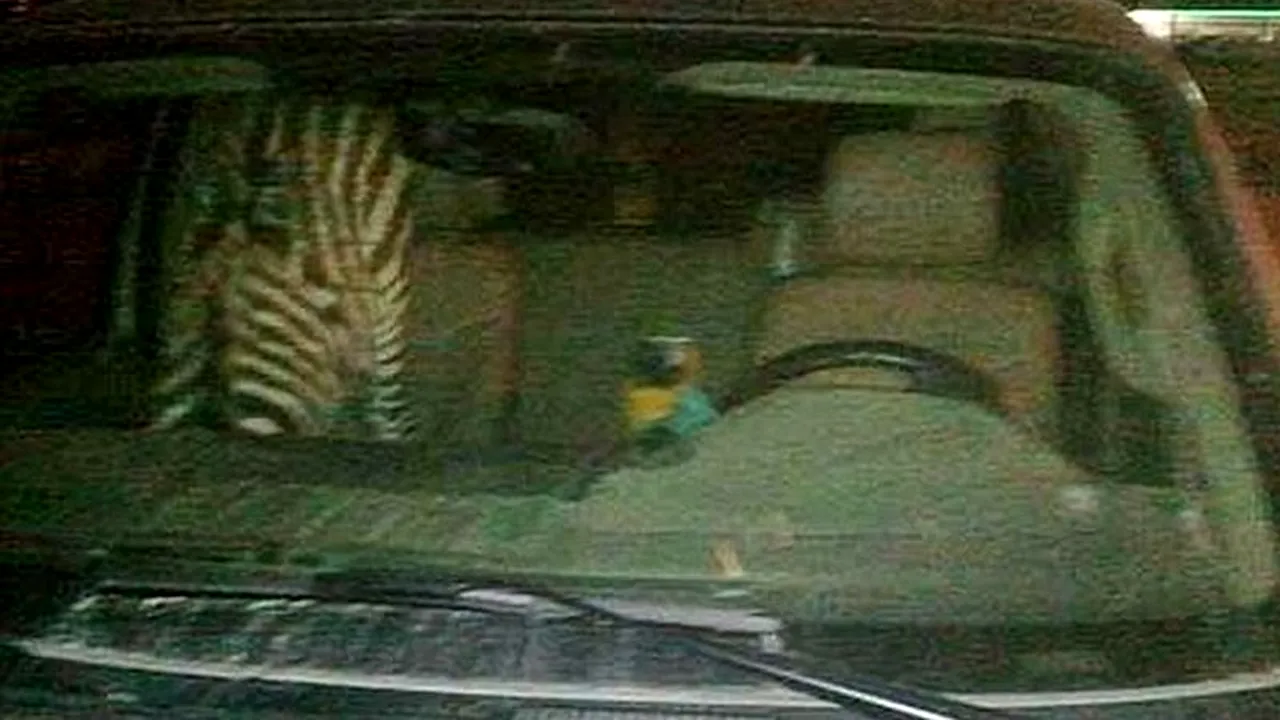 GALERIE FOTO. Polițiștii au fost surprinși când au văzut cine era pe scaunul din dreapta unui șofer beat