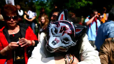 Câteva zeci de persoane care se opun eutanasierii câinilor maidanezi protestează la sediul Curții Constituționale