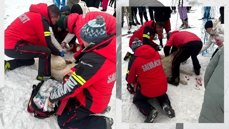 Zile de foc pentru salvamontiști. Zeci de schiori, la spital. Printre victime, un cățel a fost lovit pe pârtia din Cavnic