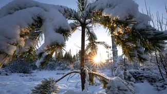 ANM a dat prognoza până la Revelion 2026. Cum va fi vremea între Crăciun și Anul Nou