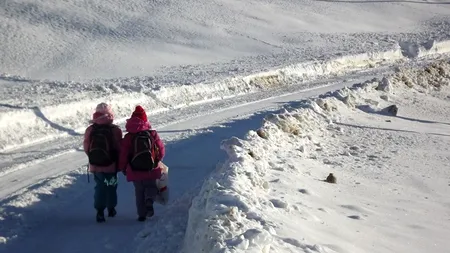 Peste 20 școli din nouă județe, închise luni, din cauza vremii. Câte școli vor fi redeschise marți