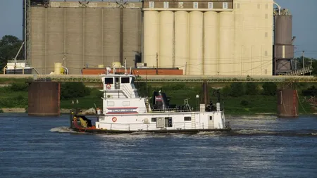 Iată ce s-a întâmplat cu comerțul de cereale în primele cinci luni ale lui 2020. Ce spunea ministrul Agriculturii în aprilie despre asta