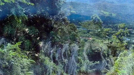 FOTO. Detaliul ascuns în această fotografie