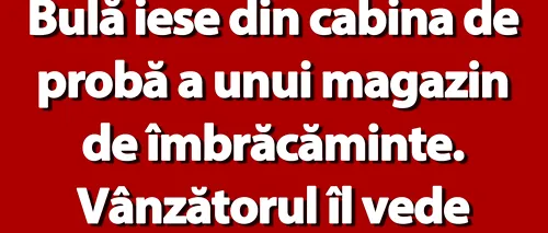 BANC | Bulă iese din cabina de probă a unui magazin de îmbrăcăminte