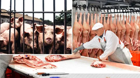 EXCLUSIV VIDEO | Masa de Crăciun a românilor, cu carne de porc din import. Doar 20% din carnea pe care o cumpărăm din magazine pentru sărbători este de la producătorii români 