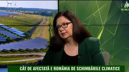 Alexandra Bocșe: „Pentru România și pentru Europa este foarte important să dezvoltăm o industrie verde”