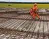 Inspecția Muncii a dat AMENZI de peste două milioane de lei pentru neregulile descoperite la angajarea cetățenilor străini. Câți lucrează în România