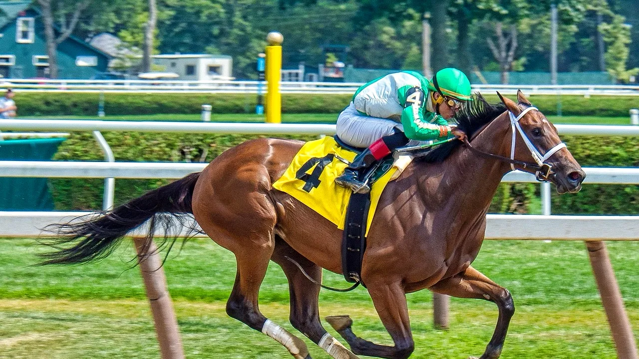 Scandal în Turcia: un cal de curse a fost servit drept vită într-o cantină socială