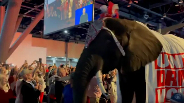 Imagini incredibile de la convenția partidului lui Trump, din Texas. Un elefant viu, îmbrăcat în mesaje republicane, a fost adus pe scenă. Ce a urmat i-a lăsat pe toți mască