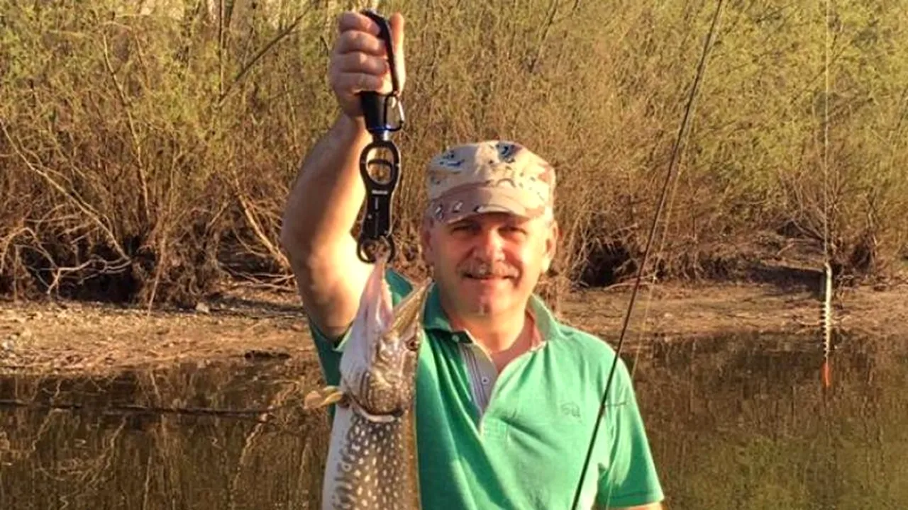 Liviu Dragnea - cu țara de gât