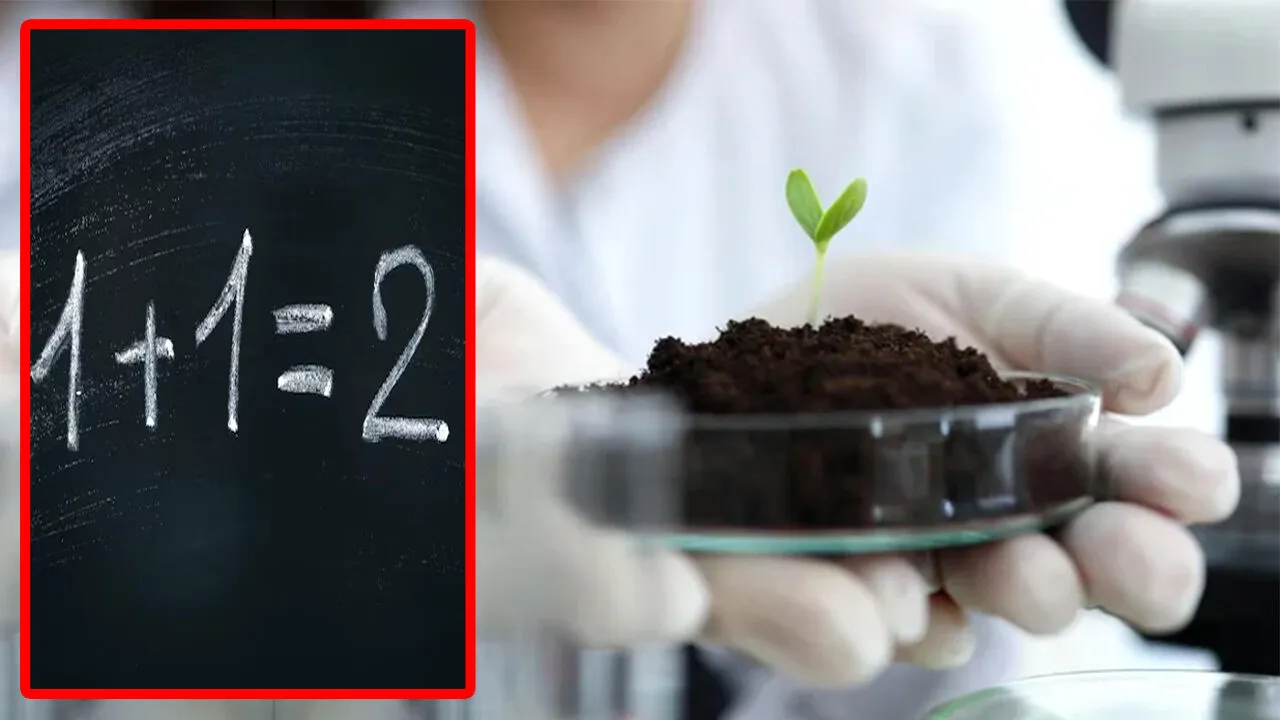 Noua descoperire a cercetătorilor americani: Plantele au „memorie” și sunt mai inteligente decât credem