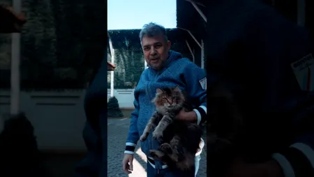 Premierul Marcel Ciolacu, în misiune de SALVARE a pisicii sale, care rămăsese blocată în copac