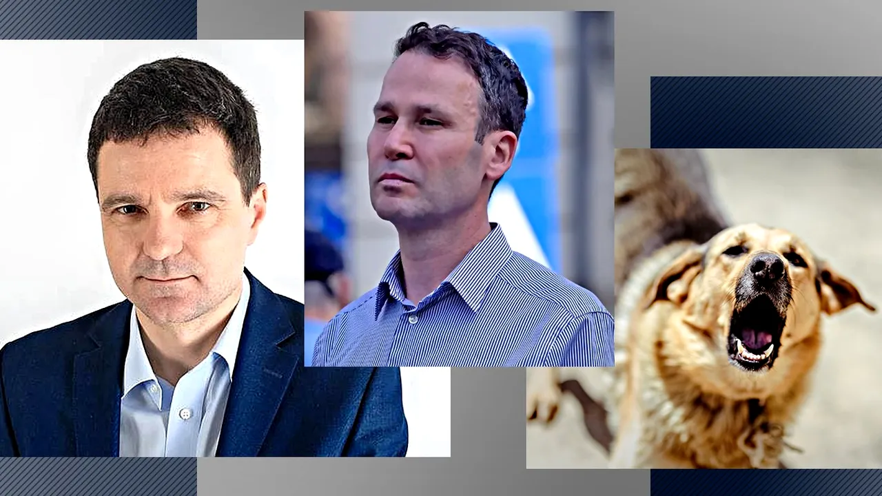 Primarul Robert Negoiță îi cere lui Nicușor Dan să convoace de urgență o ședință pentru a rezolva problema câinilor fără stăpân din București: „Da, știu că este weekend prelungit, dar apar situații deosebit de grave”