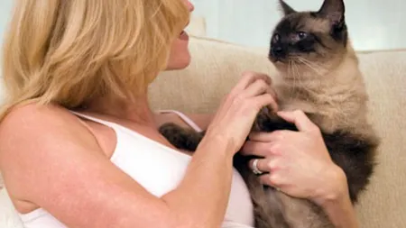 TOXOPLASMOZA. Ce este această boală și cum poate fi tratată