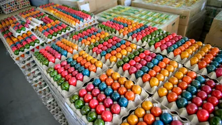 Radu Țincu, medic de Terapie Intensivă şi Toxicologie: 