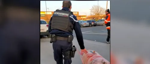 VIDEO | Porcul „Ghiță” a fost salvat de jandarmii francezi din mâinile unor români, care se pregăteau să îl sacrifice