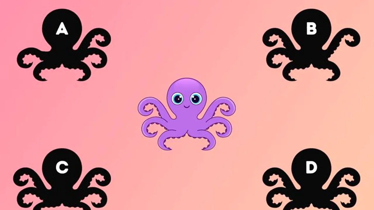 Test de inteligență cu 10 întrebări, pentru calcularea exactă a IQ-ului | Prima: Care e umbra corectă a caracatiței din imagine?