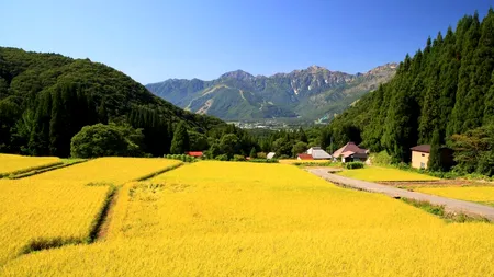 Locul UNIC din România, care seamănă cu o stațiune faimoasă din Japonia și se află foarte aproape de Brașov