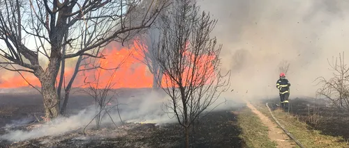 Incendiu izbucnit în Parcul Natural Văcăreşti din Capitală, foarte aproape de Splaiul Unirii
