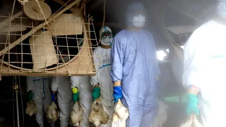 UE lansează planul „pre-pandemic