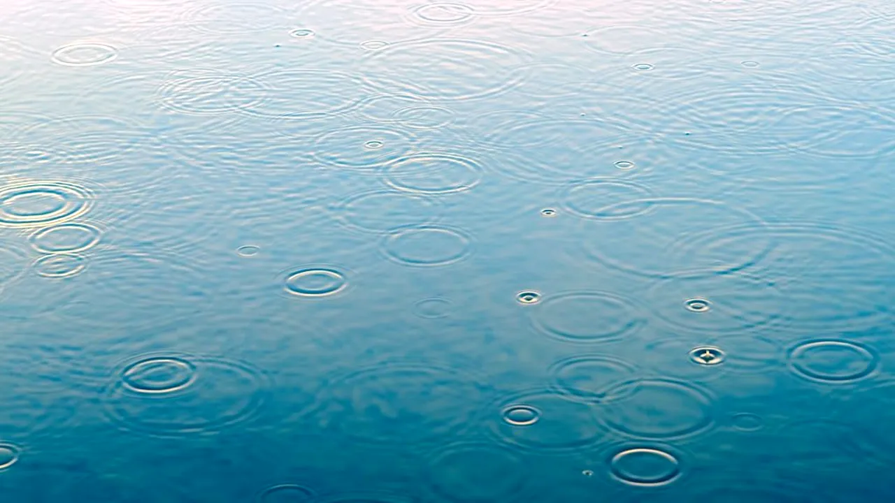 Doi frați care se aflau la pescuit pe o baltă din Mangalia s-au electrocutat şi au murit. Poliţiştii au deschis un dosar penal