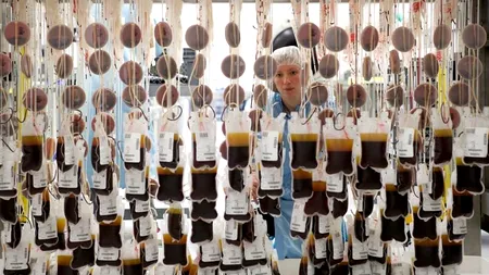 Guvernul vrea să construiască printr-un parteneriat o bancă de sânge, plasmă umană și celule stem