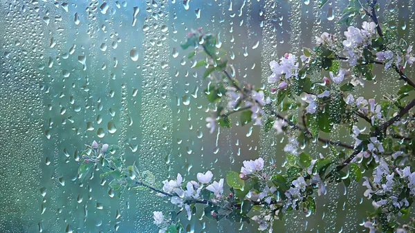 Un ciclon va traversa România. Urmează ploi și temperaturi scăzute de săptămâna viitoare până la sfârșitul lunii