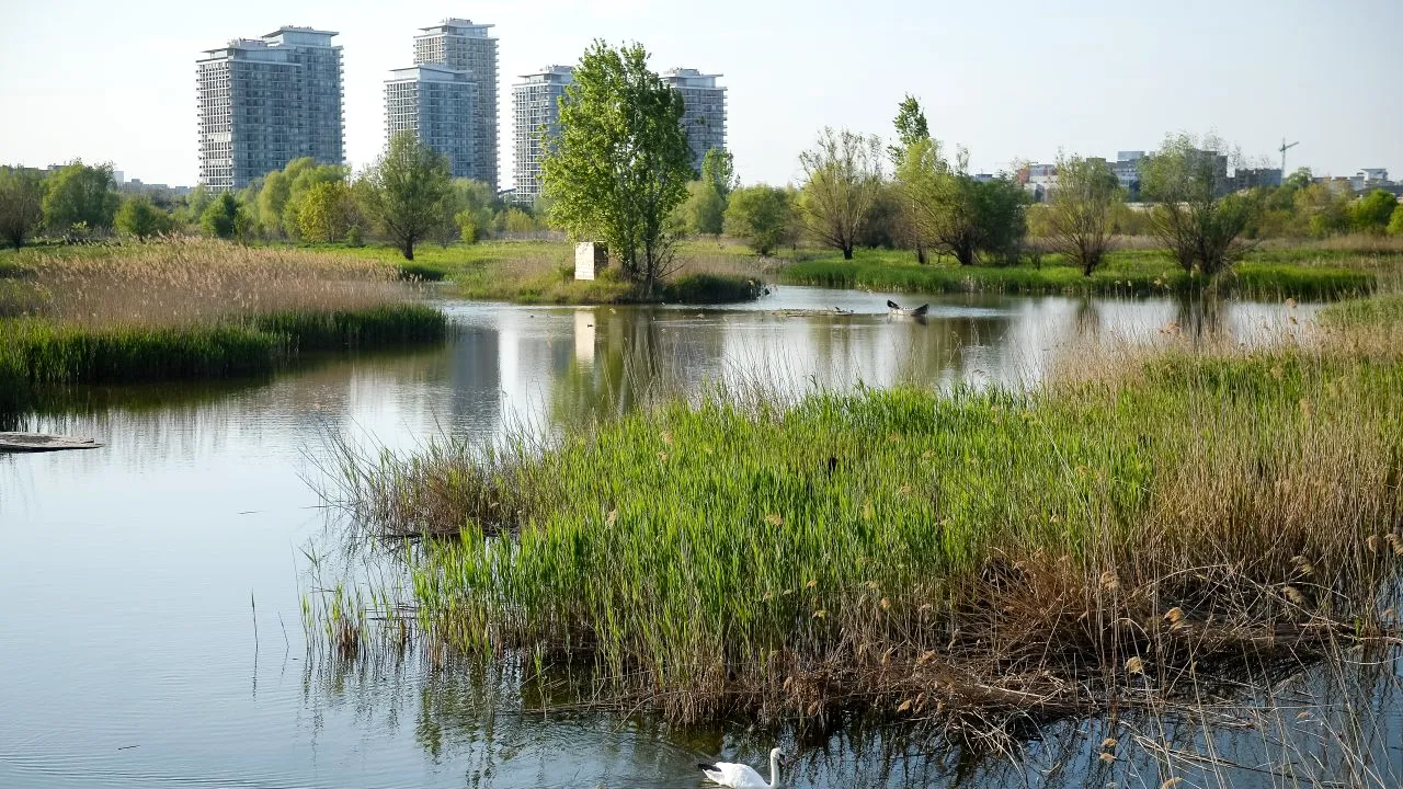 Primăria Capitalei va aloca un buget de 1,1 milioane de lei pentru „Delta Văcărești”. Pe ce se vor cheltui banii