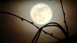 Spectacol pe cer. „Luna roz” în plină splendoare