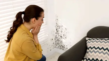 O ciupercă ne amenință casa și sănătatea iarna. Cum ne putem apăra eficient de mucegai