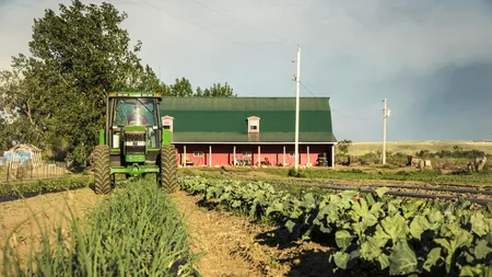 Fermierii, afectați de creșterea prețului la motorină. Vor reduce din lucrările solului, iar producția va fi mai mică