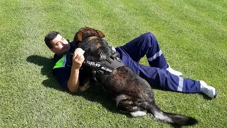 Povestea lui Aldo, câinele polițist tratat „ca obiect de inventar