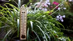 ANM a dat prognoza pentru iulie, luna „lui Cuptor”. Ce temperaturi ne așteaptă în cea mai călduroasă lună din an