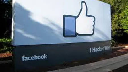 Ei sunt cei mai simpatici rezidenți de la sediul Facebook. FOTO